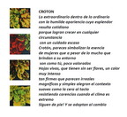 Texto Croton