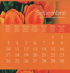 Septiembre 2007